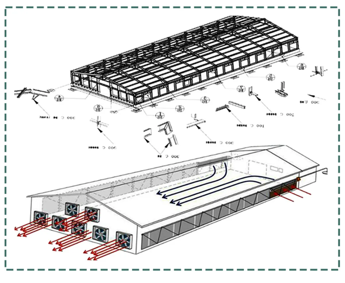 Steel Poultry Farm House made in China Steel Poultry Farm House made in China