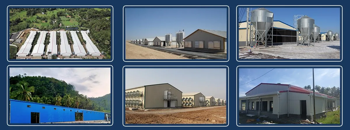 Chicken Slaughter House suppliers Chicken Slaughter House suppliers