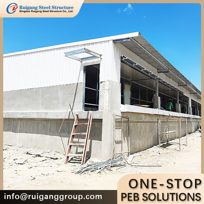 Steel Structure Pig House